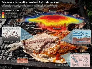 Pescado A La Parrilla Modelo Fisico De Coccion