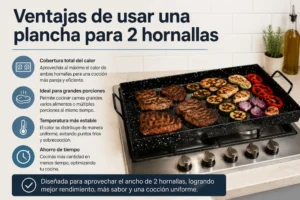 Ventajas De Usar Una Plancha Para 2 Hornallas