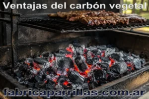 Comparativa entre le&ntilde;a y carb&oacute;n para asado: tiempos de brasa, aromas, temperatura, humo y usos recomendados seg&uacute;n cada caso.